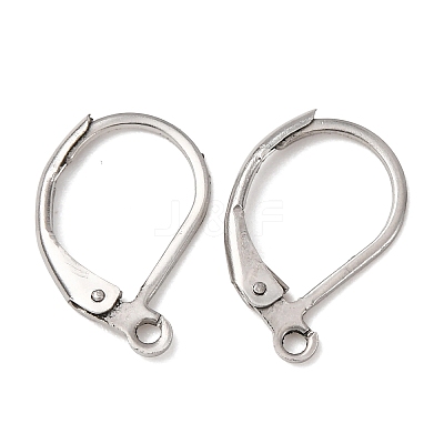 Tarnish Resistant 316L Surgical Stainless Steel Leverback Earring Findings STAS-E194-03P-1