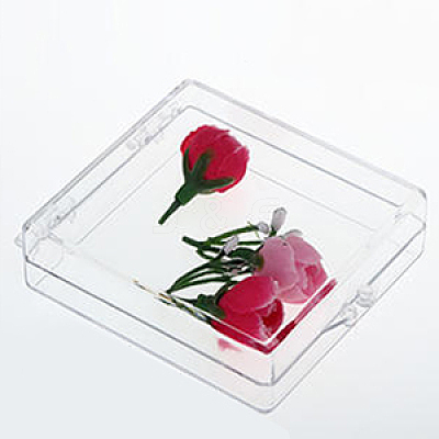 Transparent Plastic Bead Containers LS-CON-WH0020-04-1