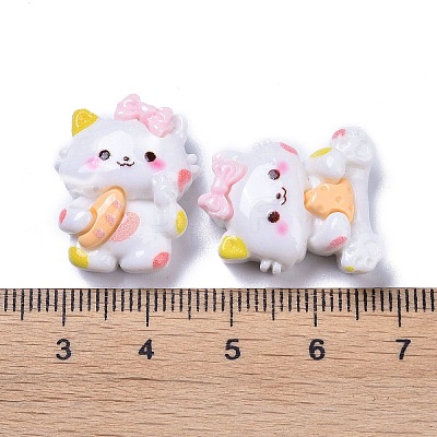 Opaque Cute Cat with Food Resin Decoden Cabochons X-RESI-B024-09-1