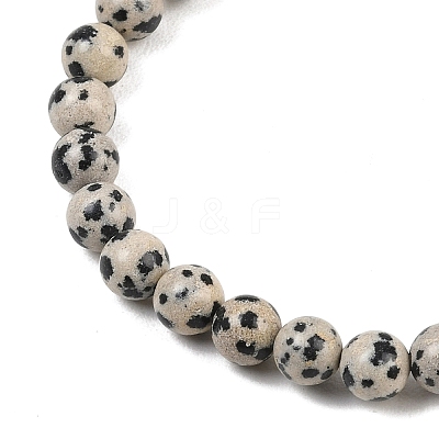 Natural Dalmatian Jasper Jasper Round Beaded Bracelets X-BJEW-G073-16-1