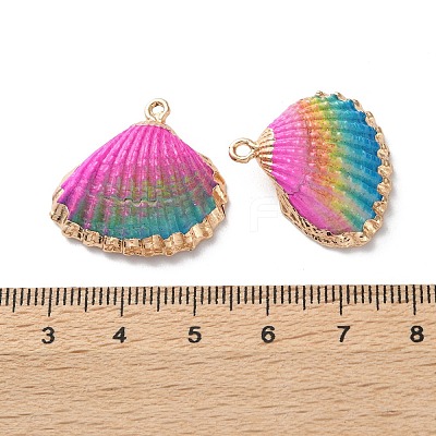 Sea Shell Pendants SSHEL-B002-07G-05-1
