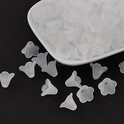 Frosted Acrylic Beads PL692-13-1