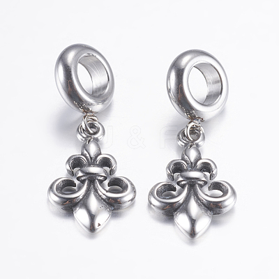 304 Stainless Steel European Dangle Charms STAS-P183-27AS-1