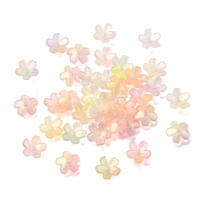 Acrylic Bead Caps OACR-I024-01E-1