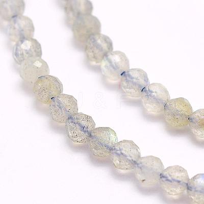 Natural Labradorite Beads Strands G-F509-03-3mm-1