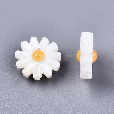Natural Freshwater Shell Beads SHEL-S266-14B-1