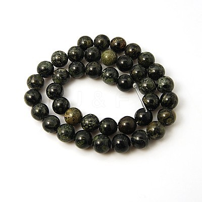 Natural Kambaba Jasper Beads Strands G-G394-10mm-1