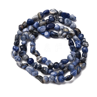 Natural Sodalite Beads Strands G-I389-A08-1