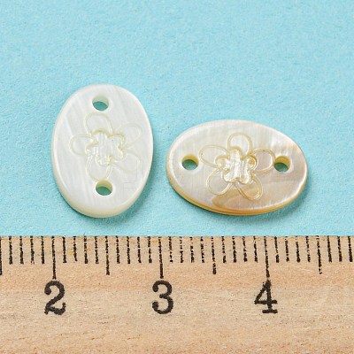 Natural Freshwater Shell Connector Charms SHEL-Q026-01-1