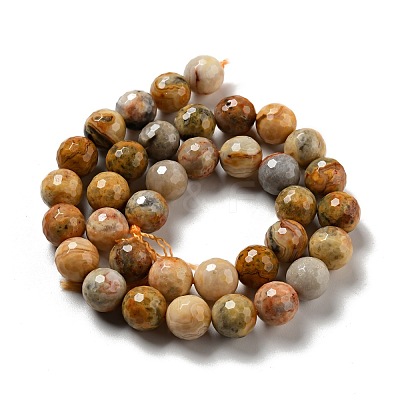 Natural Crazy Lace Agate Beads Strands G-E571-36C-1
