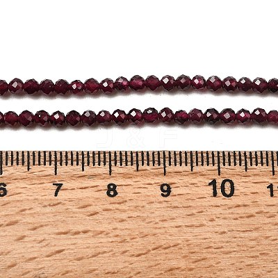Natural Garnet Beads Strands G-I341-09B-01-1