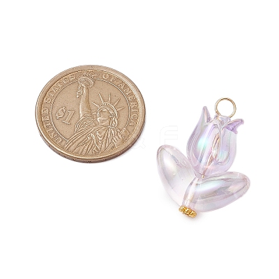 6Pcs Acrylic Beads Pendants PALLOY-JF03023-1