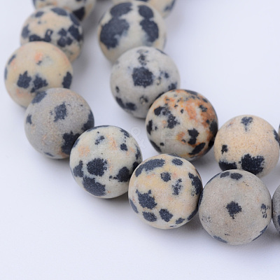 Natural Dalmatian Jasper Beads Strands G-Q462-8mm-05-1