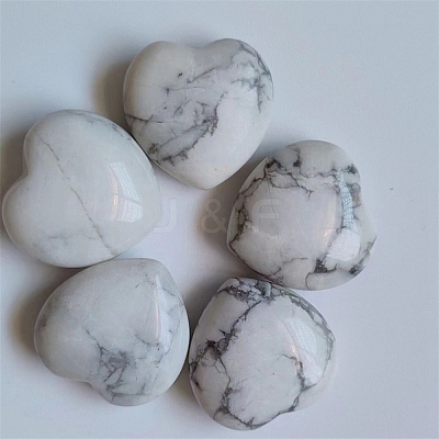Natural Howlite Display Decorations PW-WG37563-10-1