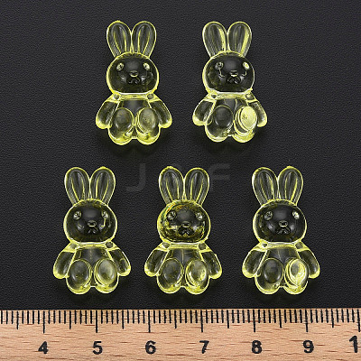 Transparent Acrylic Beads LS-MACR-S373-81-B06-1