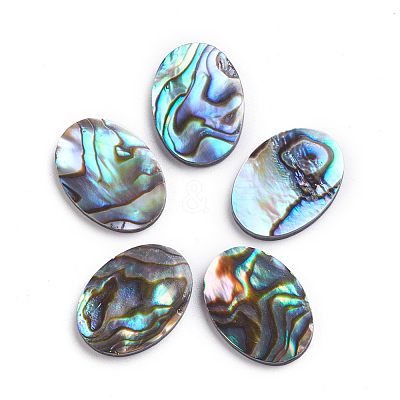 Natural Abalone Shell/Paua Shell Cabochons X-SSHEL-L017-003-1