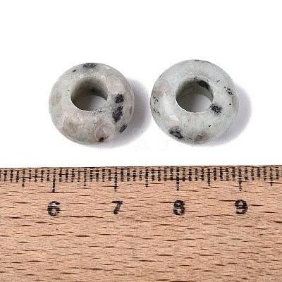 Natural Labradorite European Beads G-N359-17A-06-1