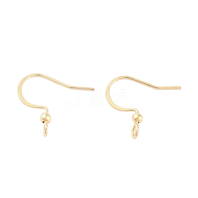 316 Surgical Stainless Steel Earring Hooks X-STAS-K274-10G-1