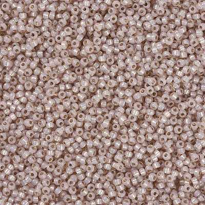 MIYUKI Round Rocailles Beads X-SEED-G008-RR0579-1