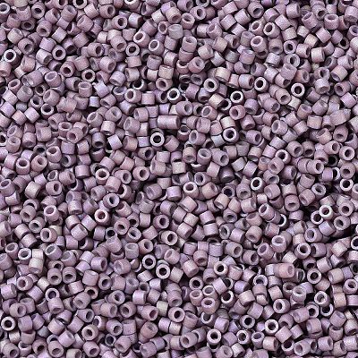 MIYUKI Delica Beads SEED-X0054-DB1064-1
