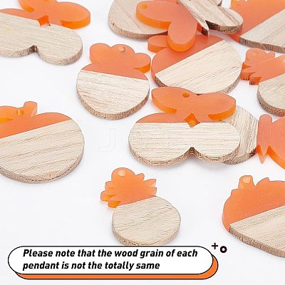 DIY Dangle Earring Making Kits RESI-OC0001-09-1