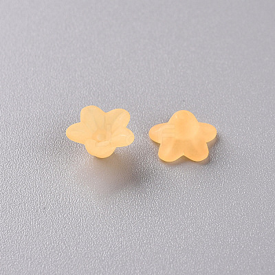 Transparent Acrylic Beads LS-X-PL554-07-1