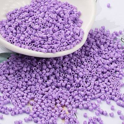 Baking Paint Glass Seed Beads SEED-S042-05B-71-1