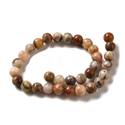 Natural Crazy Lace Agate Round Bead Strands X-G-M272-03-6mm-1