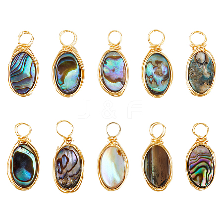 10Pcs Copper Wired Natural Abalone Shell/Paua Shell Pendants PALLOY-FI00001-1