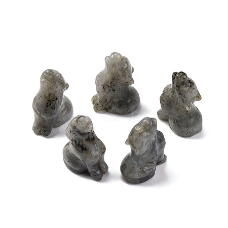 Natural Labradorite Display Decorations DJEW-P019-A08-1