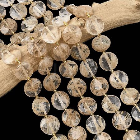 Coffee Watermelon Stone Glass Beads Strands G-A292-A04-01-1