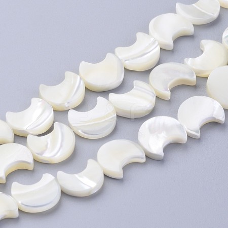 Natural White Shell Beads Strands X-SSHEL-12X11-1