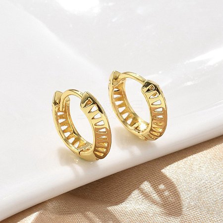 Triangle Brass Hoop Earrings EJEW-F359-10G-04-1