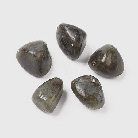 5Pcs Natural Labradorite Beads G-FS0002-04-1