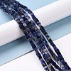 Natural Sodalite Beads Strands G-F631-K17-4