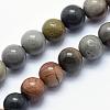 Natural Ocean Agate/Ocean Jasper Beads Strands G-G716-03-8mm-1