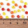 Opaque & Transparent Glass Seed Beads SEED-Q041-06B-4