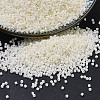 MIYUKI Delica Beads SEED-X0054-DB0352-1