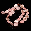 Natural Shell Beads Strands PBB251Y-6-2