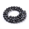Natural Larvikite/Black Labradorite Beads Strands X-G-S259-06-8mm-2