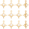 14Pcs Brass Micro Pave Cubic Zirconia Pendants KK-BBC0028-17-7