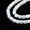 Natural Trochid Shell/Trochus Shell Beads Strands X-SSHEL-N034-121-B01-3