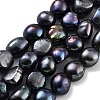 Dyed Natural Cultured Freshwater Pearl Beads Strands PEAR-P062-30D-1