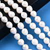 Natural Cultured Freshwater Pearl Beads Strands PEAR-N012-09D-6