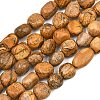 Natural Picture Jasper Beads Strands GG-CBA787B-A31-2