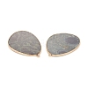 Natural Rhyolite Jasper Pendants G-E526-02L-3