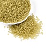 8/0 Glass Seed Beads SEED-US0003-3mm-M2-6