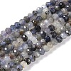 Natural Iolite Beads Strands G-G139-B11-01-1