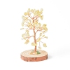 Natural Yellow Quartz Chips with Brass Wrapped Wire Money Tree on Wood Base Display Decorations DJEW-B007-05F-1