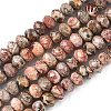 Natural Leopard Skin Jasper Beads Strands G-D344-A24-3